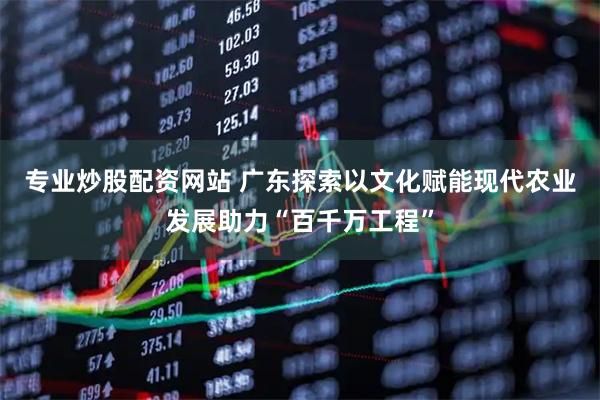 专业炒股配资网站 广东探索以文化赋能现代农业发展助力“百千万工程”