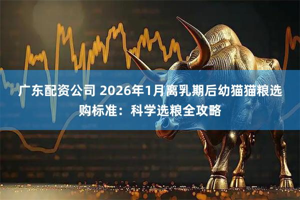 广东配资公司 2026年1月离乳期后幼猫猫粮选购标准：科学选粮全攻略